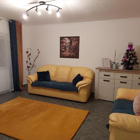 Appartamento Central Lala Apartament Braşov Esterno foto