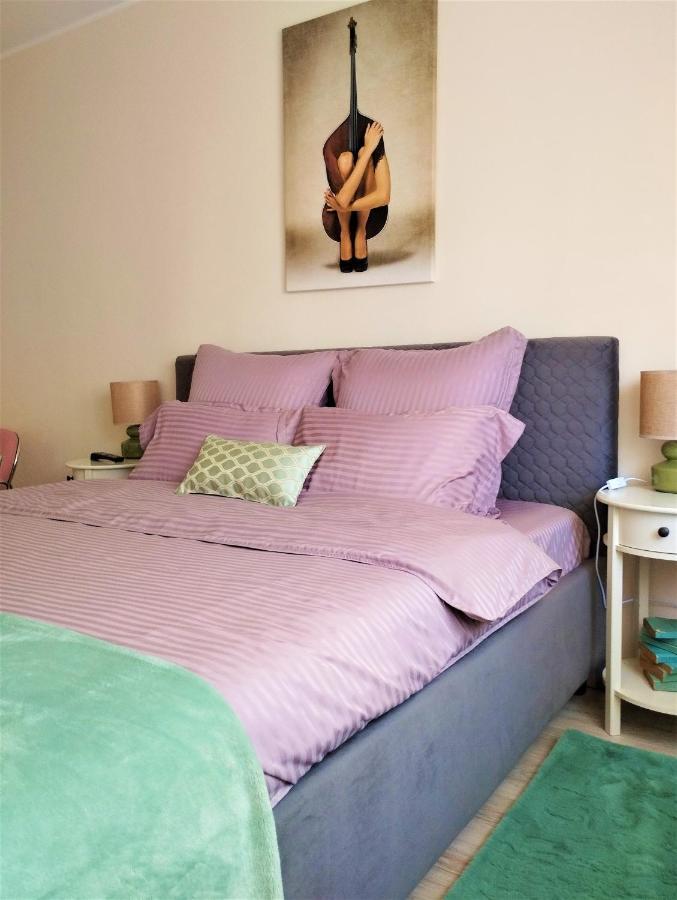 Appartamento Central Lala Apartament Braşov Esterno foto